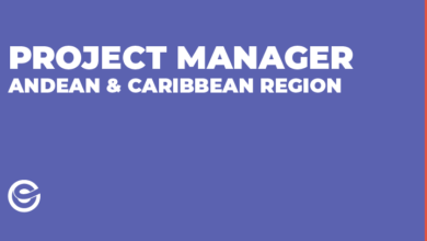 project manager