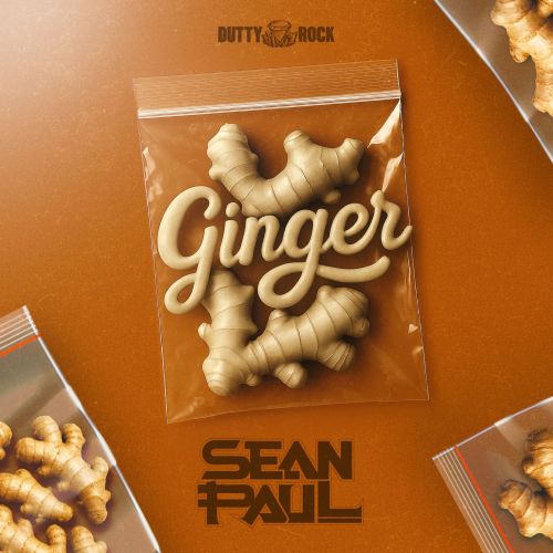 Sean Paul - “Ginger”