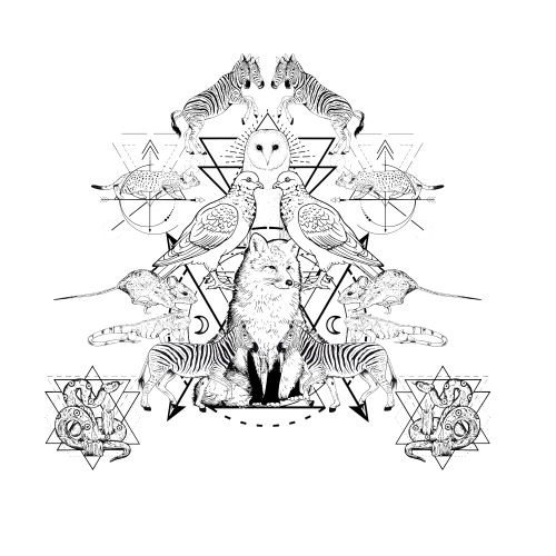 Beats Antique - Metamorphosis