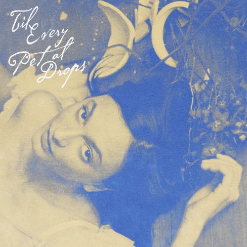 Daya - Til Every Petal Drops