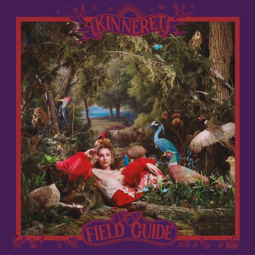 Kinneret - Field Guide
