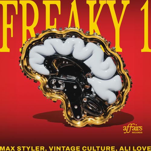 Max Styler, Vintage Culture - “Freaky 1”
