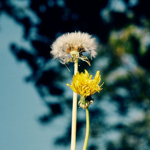 The Band Feel - “Summer Song”
